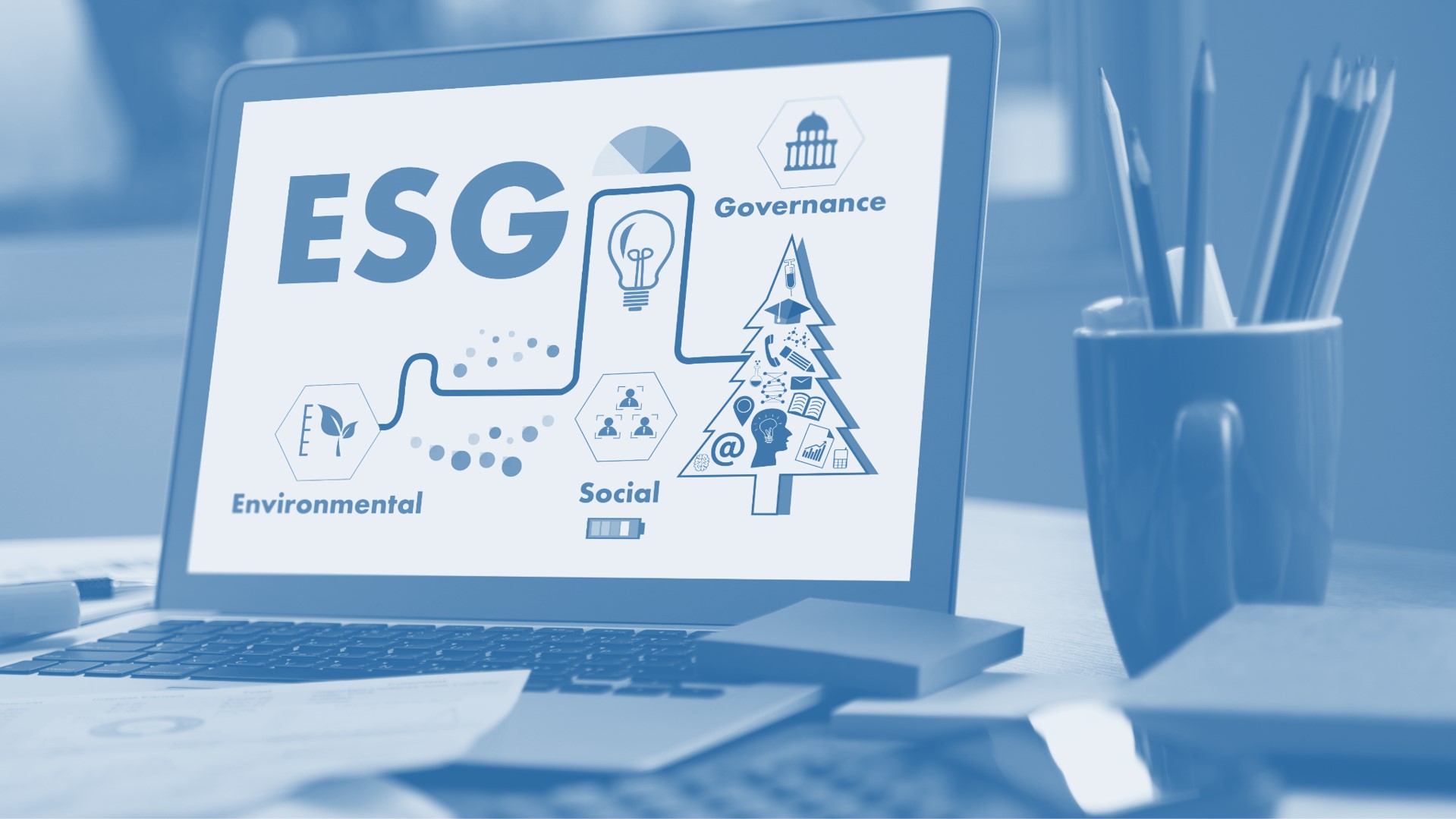 ESG Criteria (Environment, Social, Governance), Business and Development